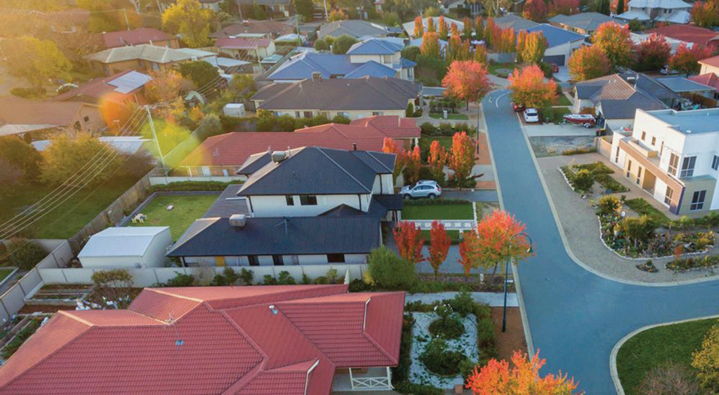Real Estate Management
